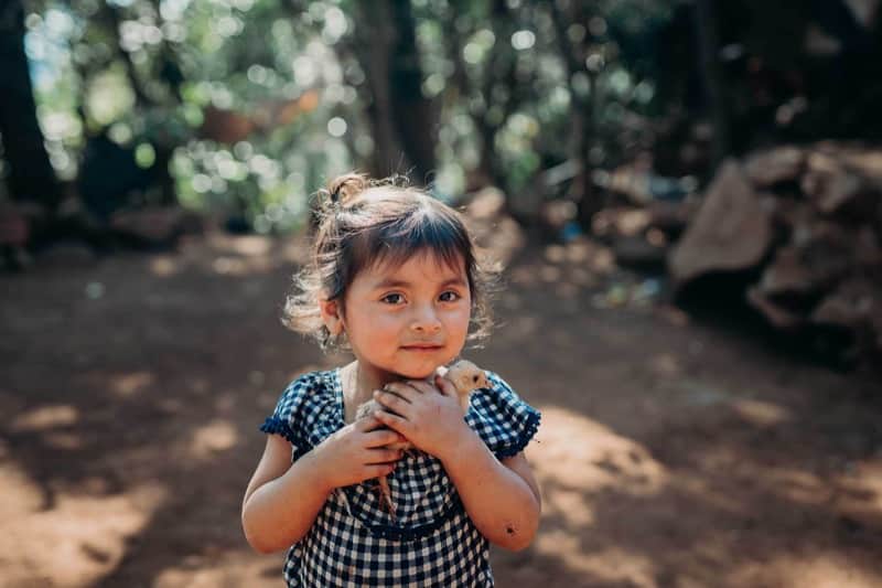 Compassion permet aux familles de développer une activité rémunératrice comme une ferme.