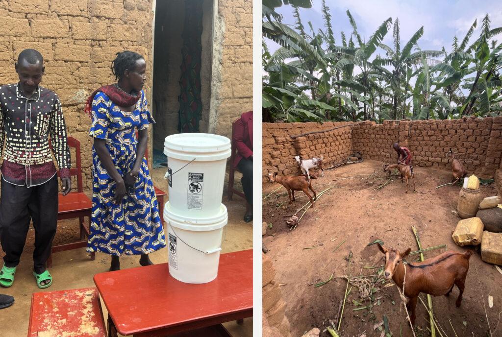 Filtres à eau au Rwanda et les chèvres reçues par la famille de Vanessa.
